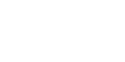 netsislogo